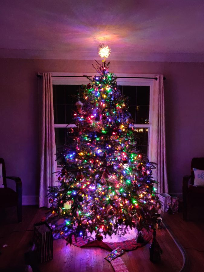 The Evolution of the Christmas Tree
